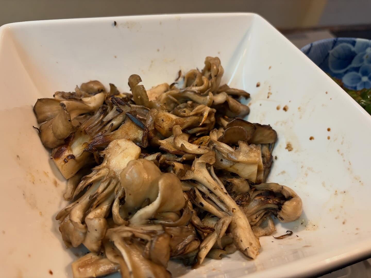 本日のおすすめ