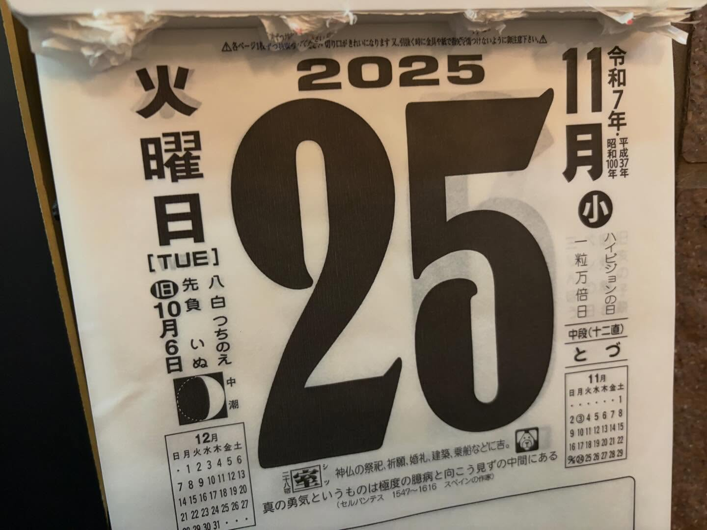 本日のおすすめ