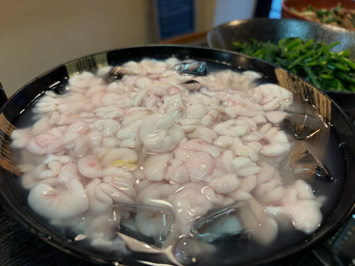 本日のおすすめ