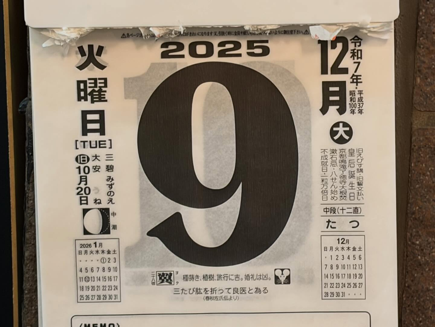 本日のおすすめ