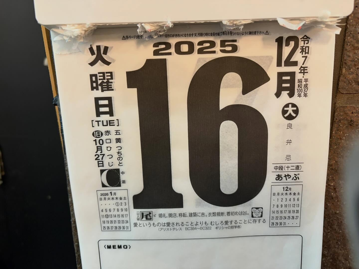 本日のおすすめ