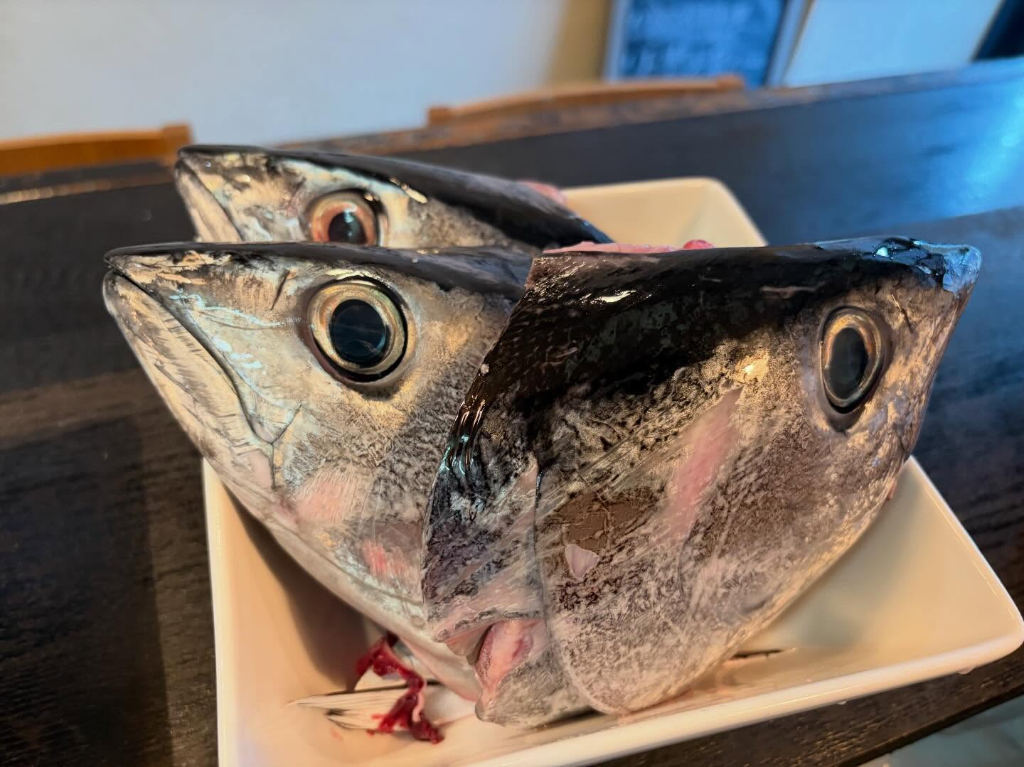 本日のおすすめ