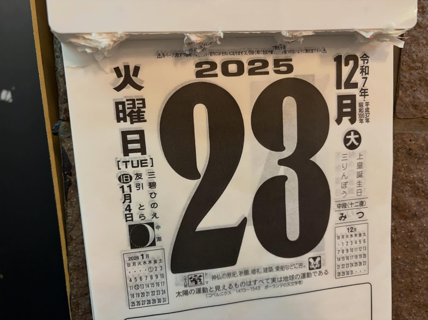 本日のおすすめ