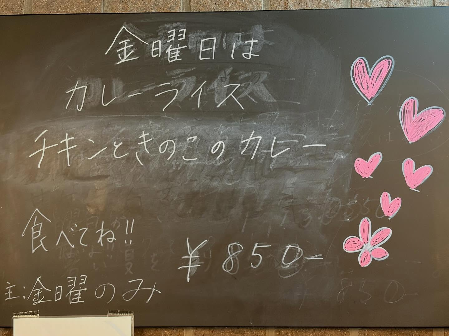 本日のおすすめ