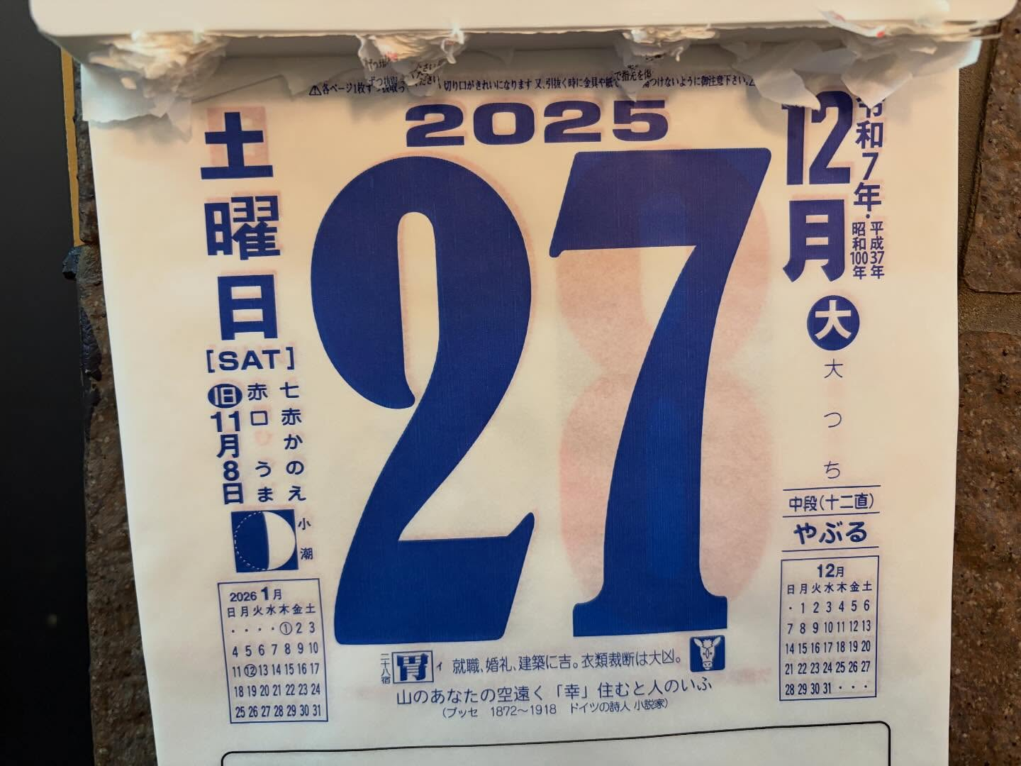 本日のおすすめ