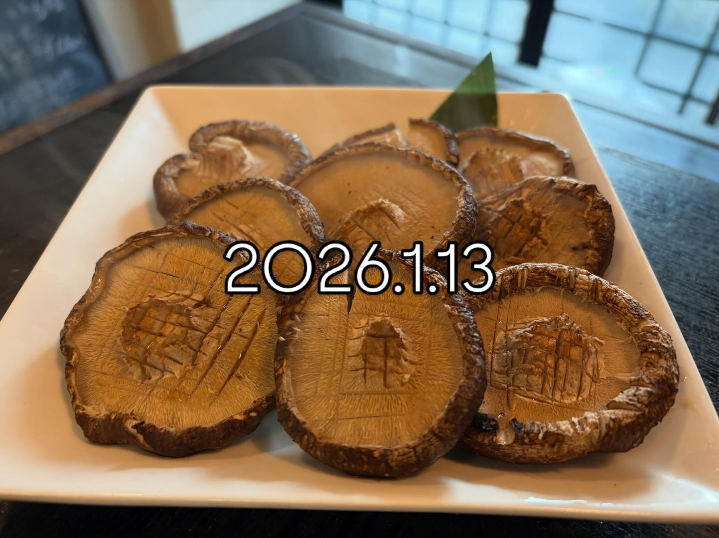 本日のおすすめ