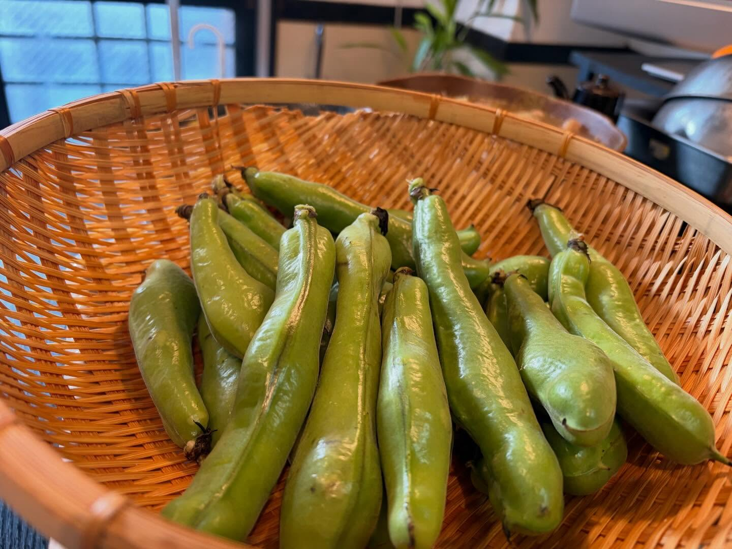 本日のおすすめ