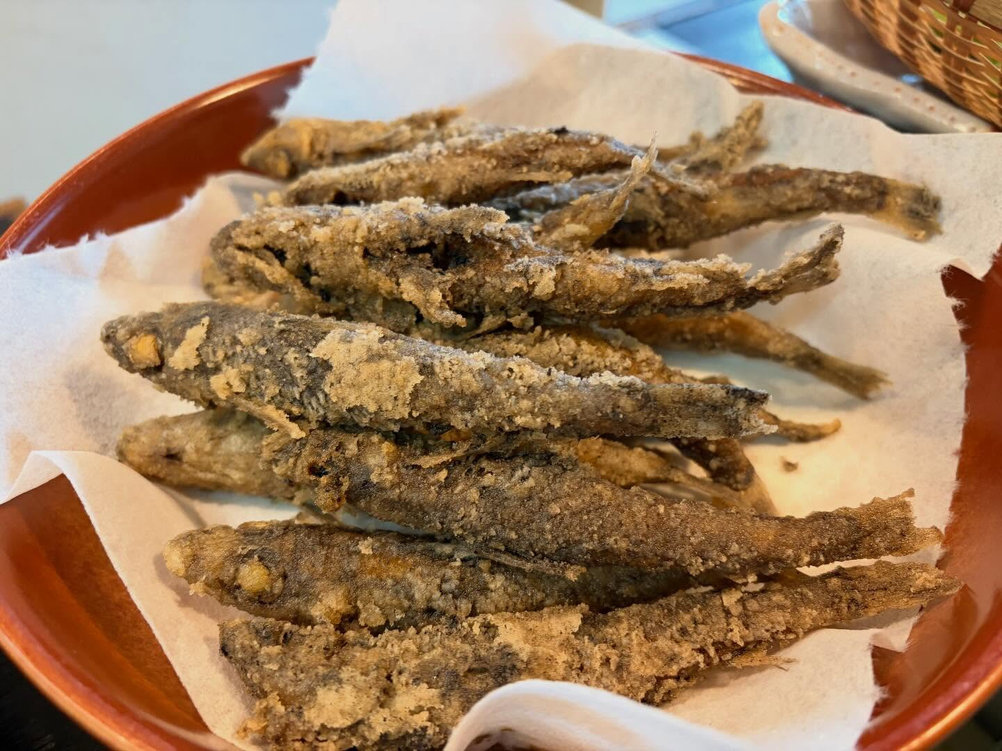 本日のおすすめ