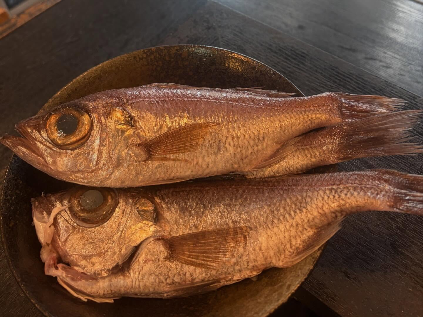 本日のおすすめ