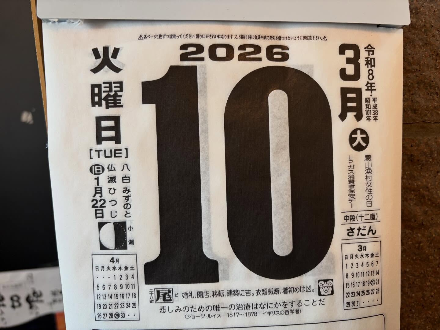 本日のおすすめ