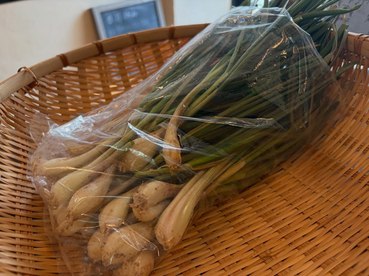 本日のおすすめ