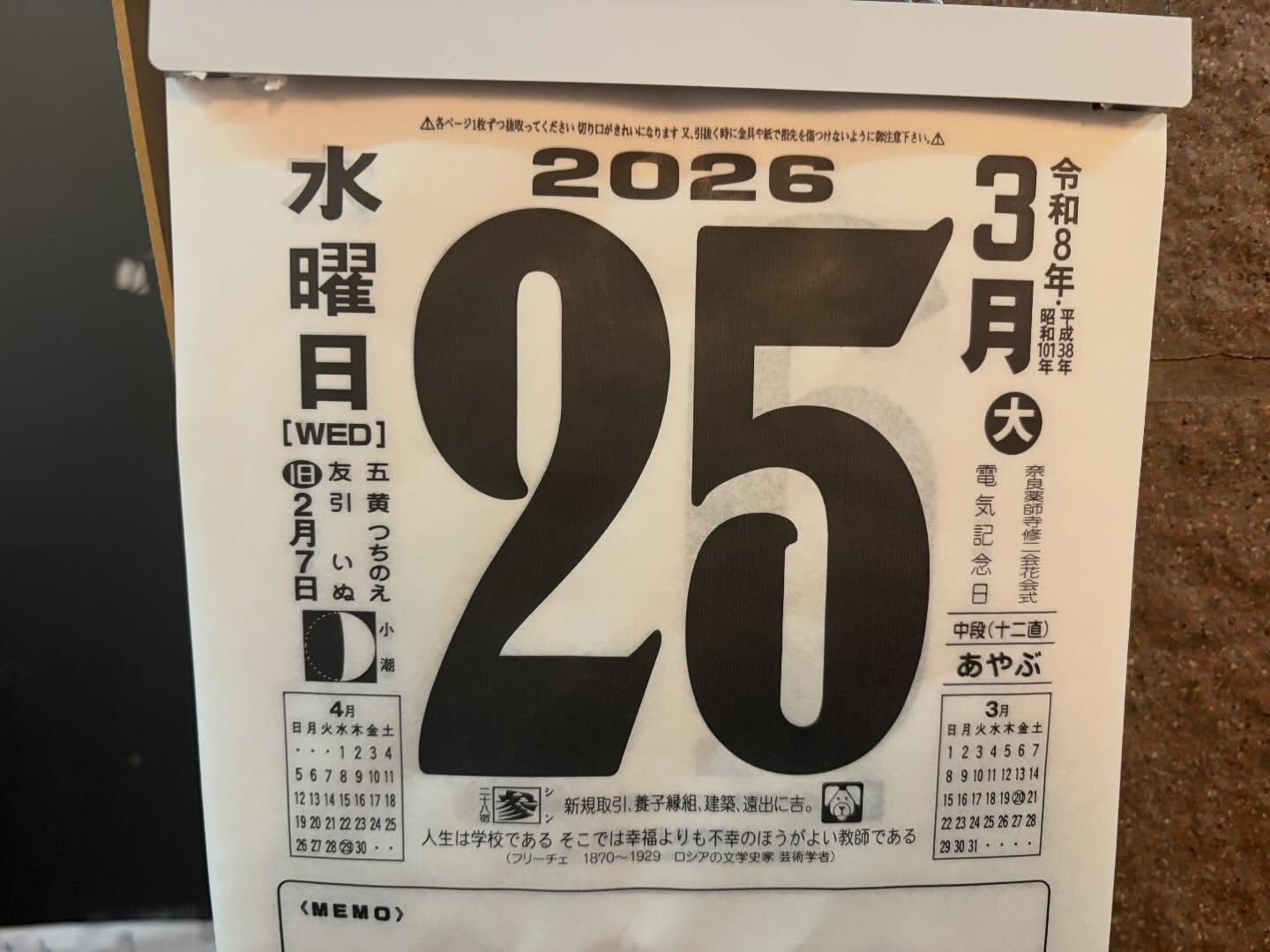 本日のおすすめ