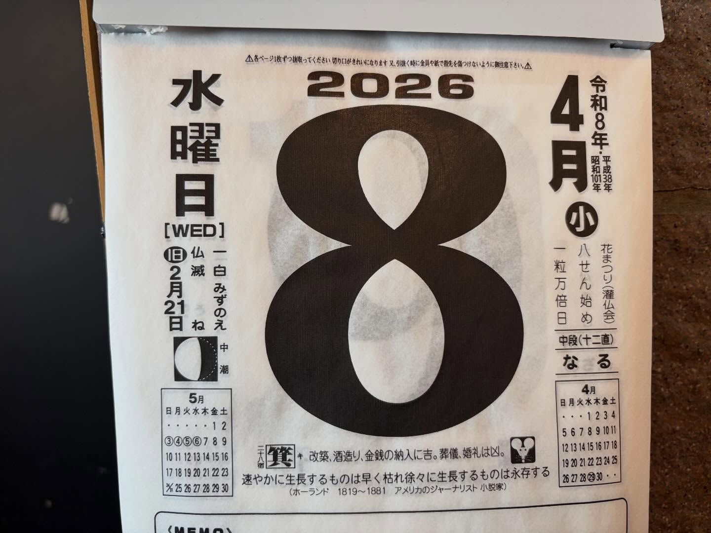 本日のおすすめ