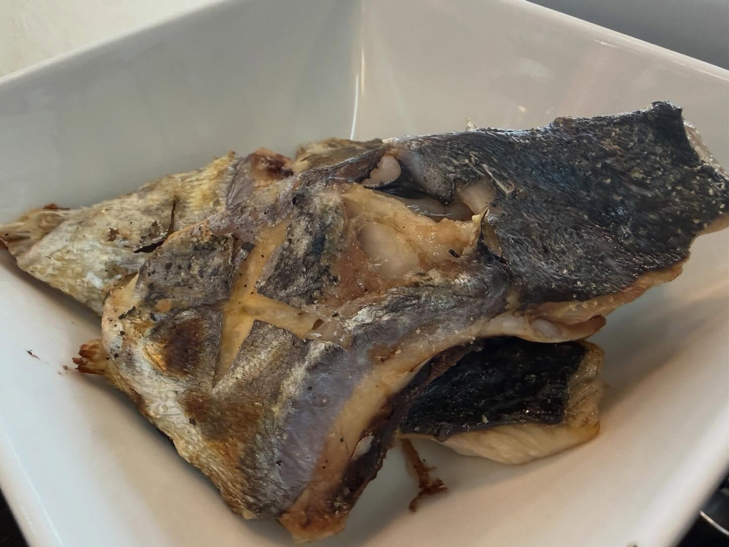 本日のおすすめ