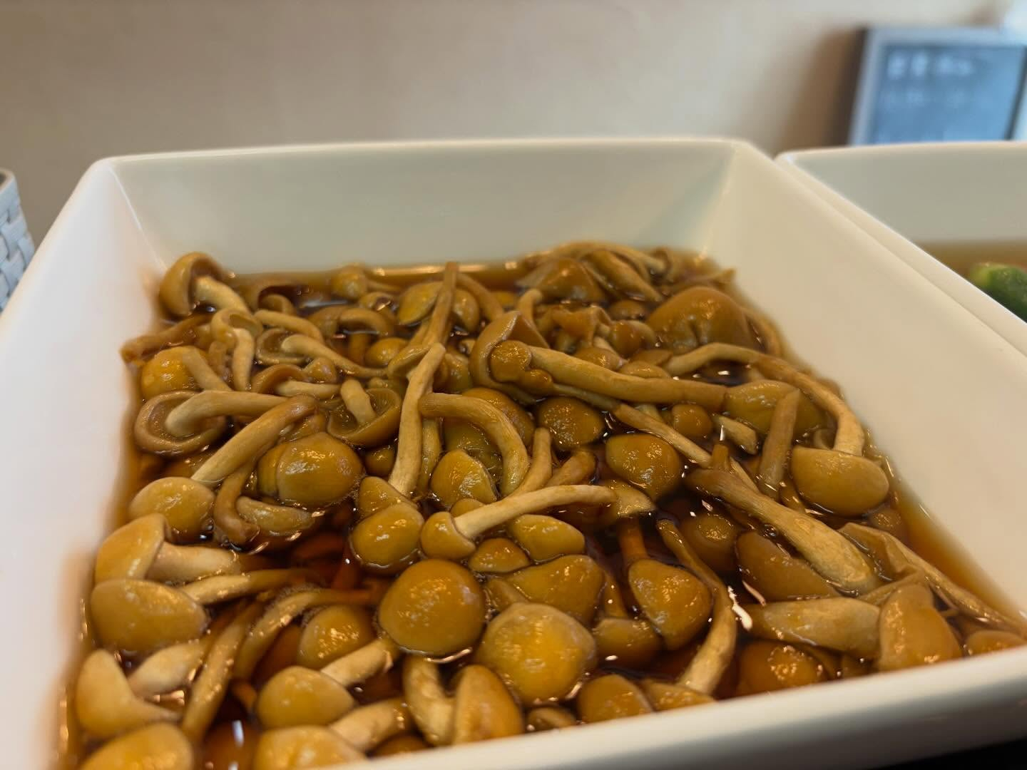 本日のおすすめ