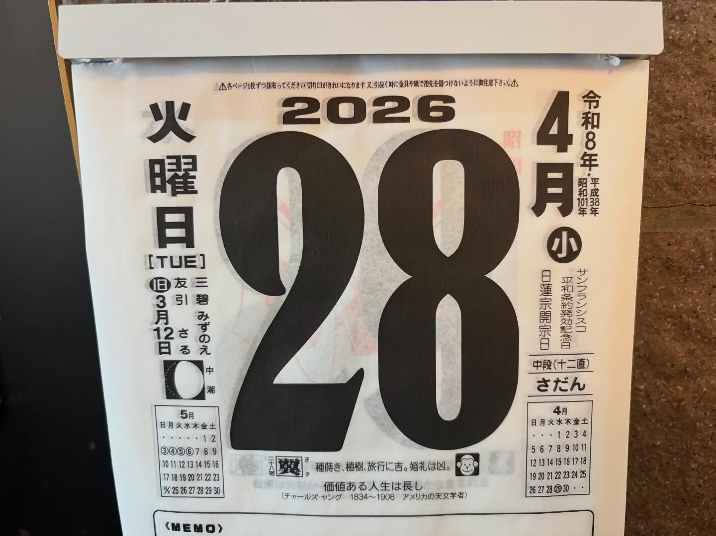 本日のおすすめ