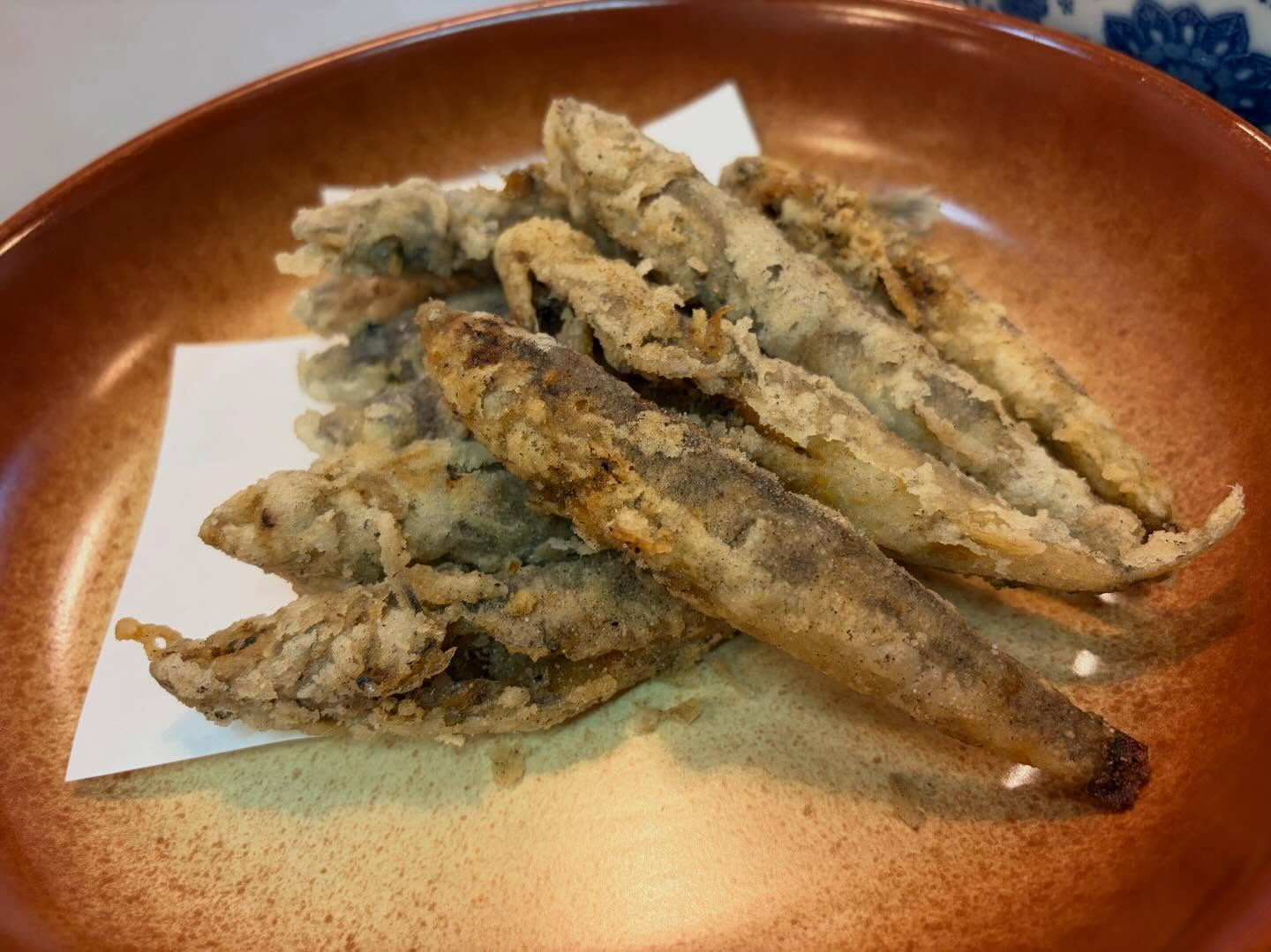 本日のおすすめ