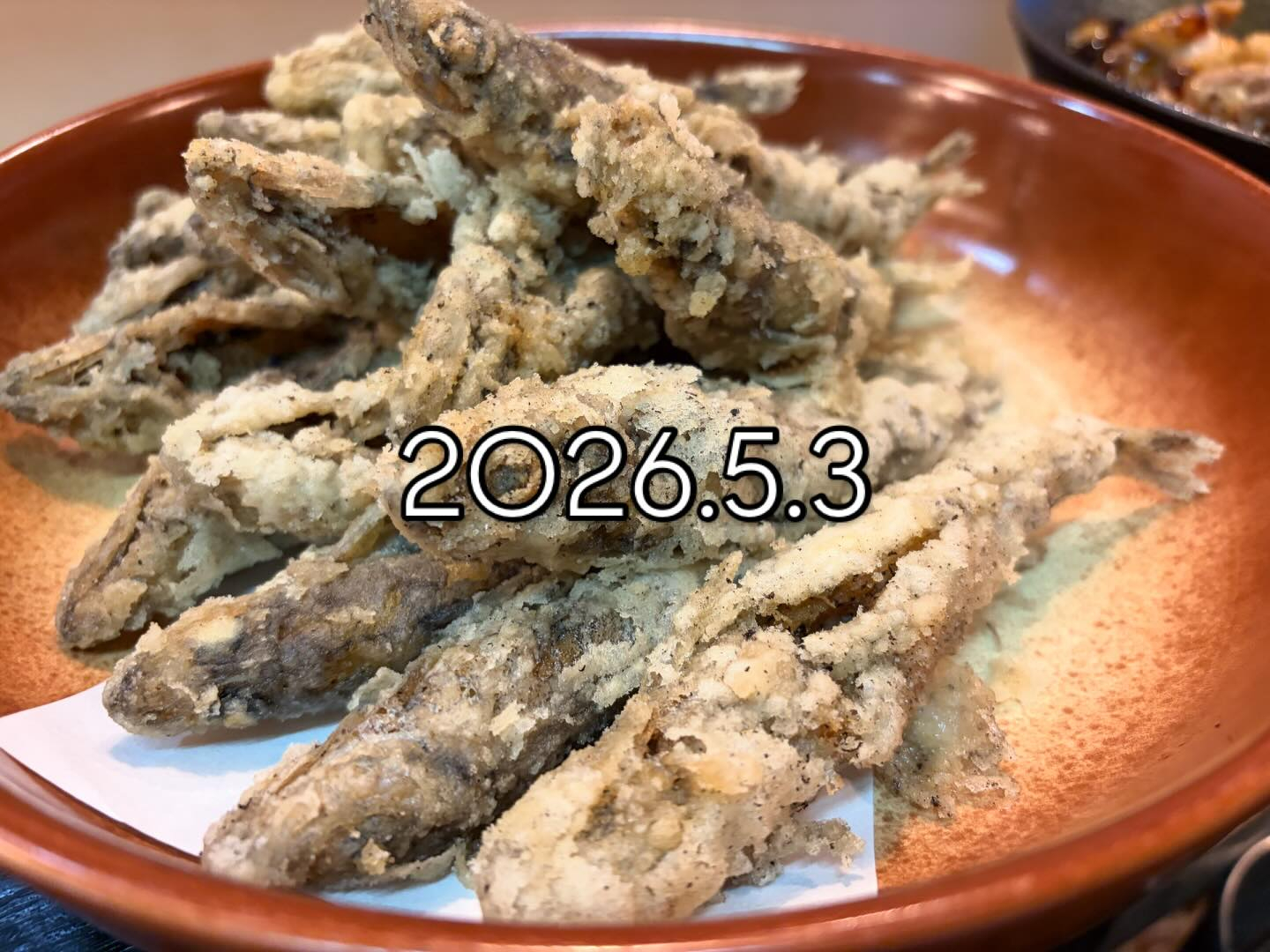 本日のおすすめ