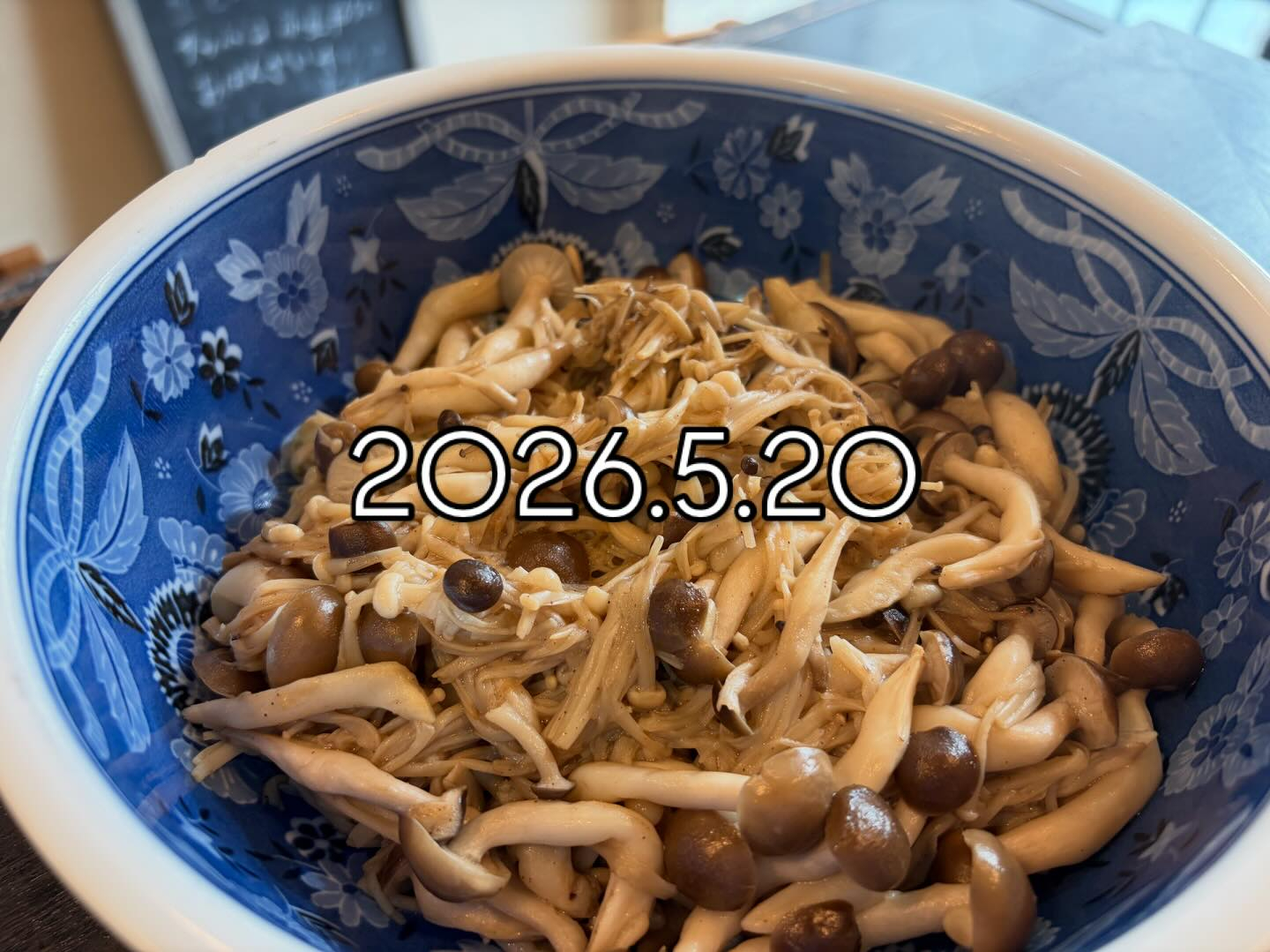 本日のおすすめ
