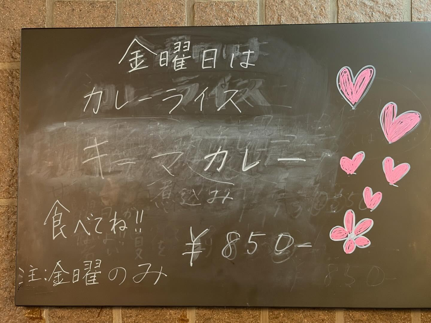 本日のおすすめ