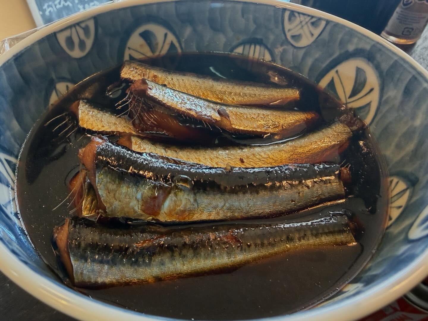 本日のおすすめ