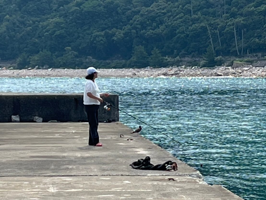 本日のおすすめ
